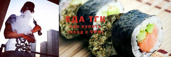 индика Алексин