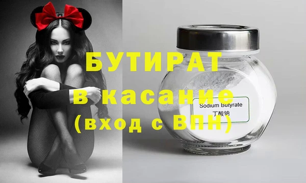 индика Алексин