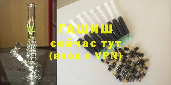 индика Алексин