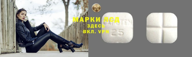 ешки Алзамай