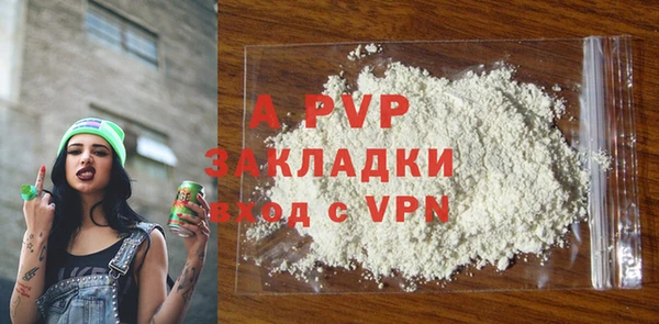 индика Алексин