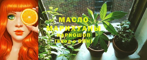индика Алексин