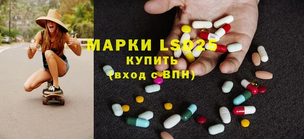 индика Алексин
