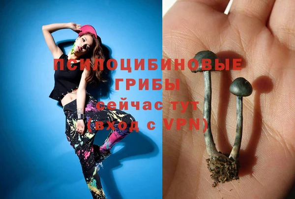 ПСИЛОЦИБИНОВЫЕ ГРИБЫ Михайловск