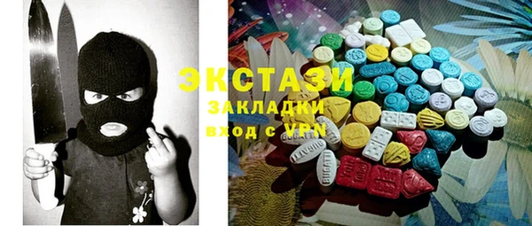 индика Алексин