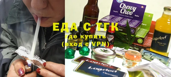 индика Алексин