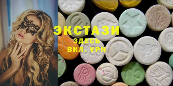 индика Алексин