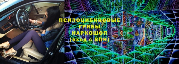 ешки Алзамай